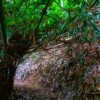 Hike Bukit Kiara, KL's Most Popular Peak. - Image 3