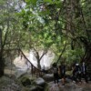 Susung Waterfall & Kampung Sting Trekking - Image 7