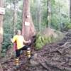 Mount Santubong Hike, Sarawak - Image 2